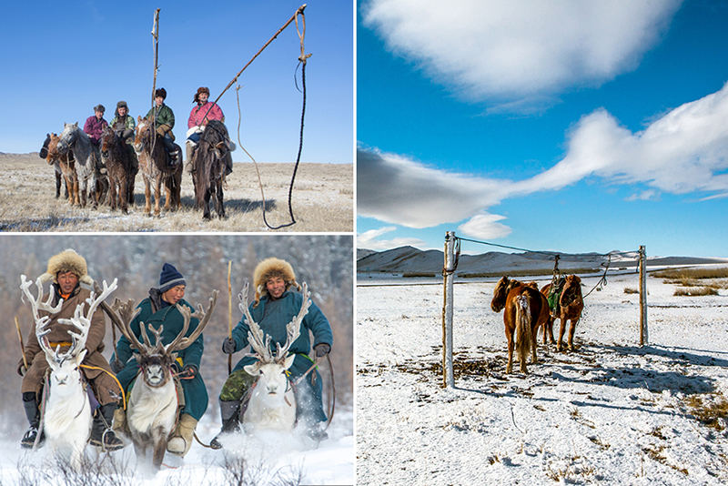 Events and Festivals in Mongolia